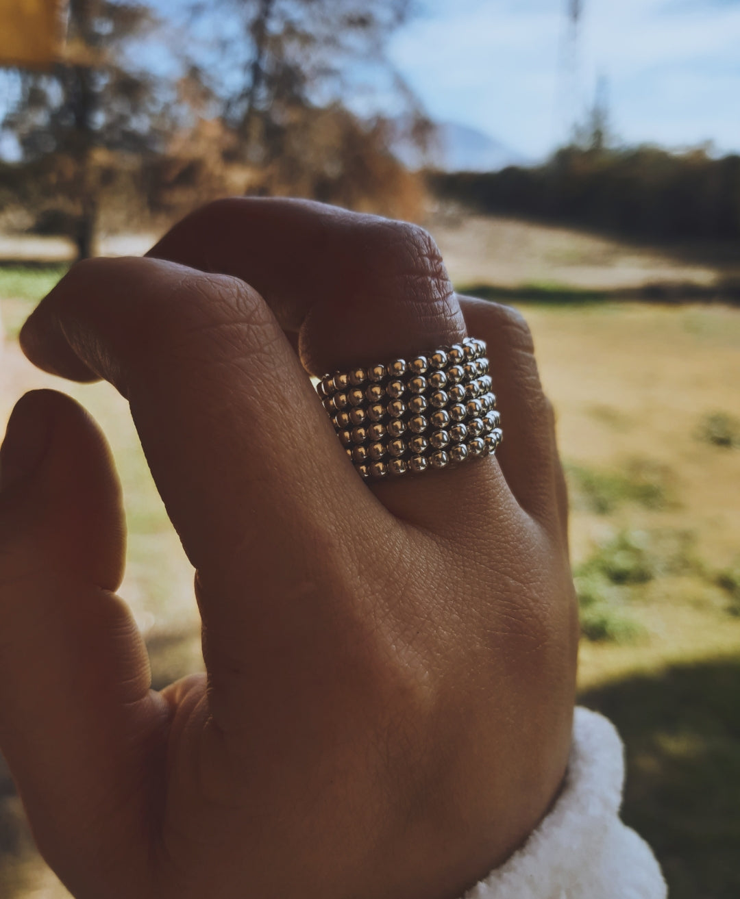 Anillo Berny