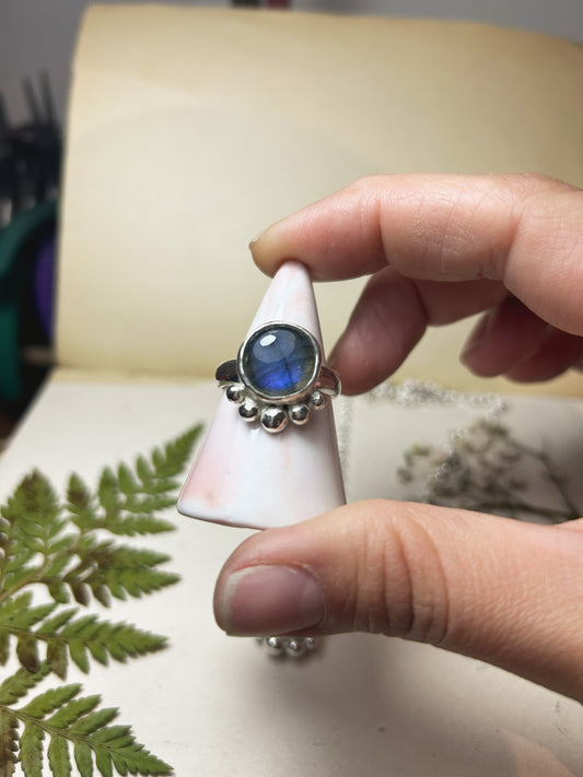 Anillo Corona Labradorita